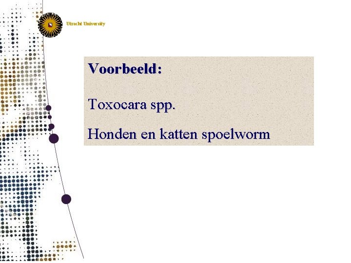 Utrecht University Voorbeeld: Toxocara spp. Honden en katten spoelworm 