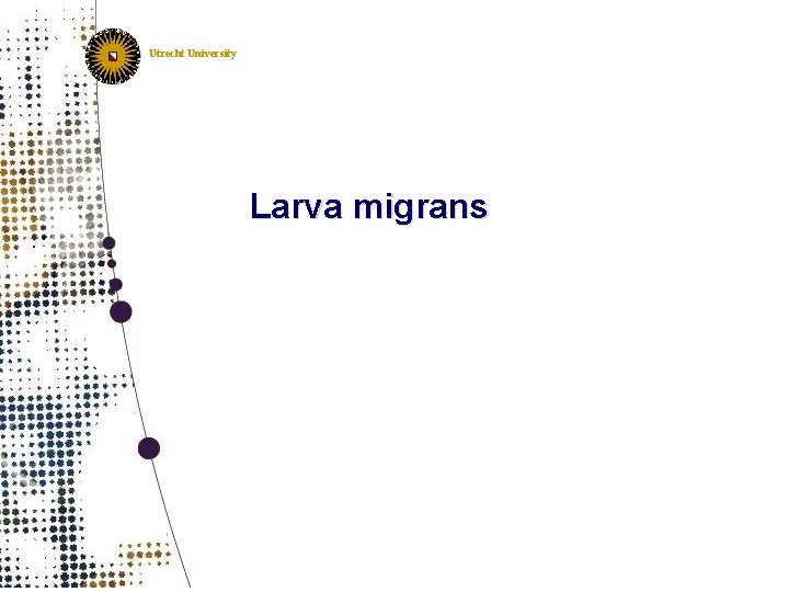 Utrecht University Larva migrans 