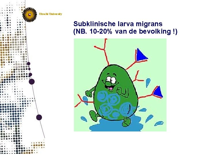 Utrecht University Subklinische larva migrans (NB. 10 -20% van de bevolking !) 