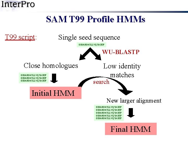 SAM T 99 Profile HMMs T 99 script: Single seed sequence GIHARPATLLVQTASKF WU-BLASTP Close