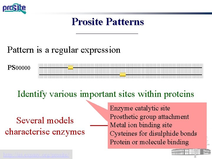 Prosite Patterns Pattern is a regular expression PS 00000 Identify various important sites within