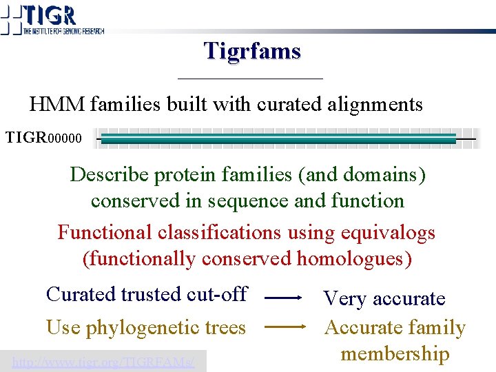 Tigrfams HMM families built with curated alignments TIGR 00000 Describe protein families (and domains)