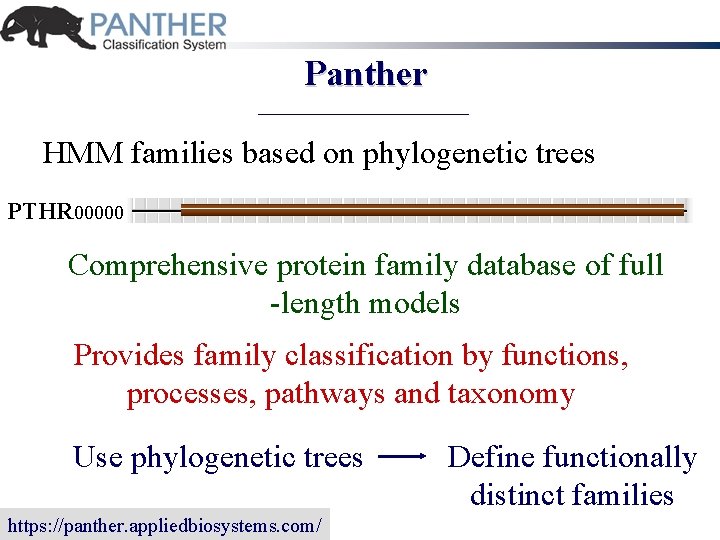Panther HMM families based on phylogenetic trees PTHR 00000 Comprehensive protein family database of