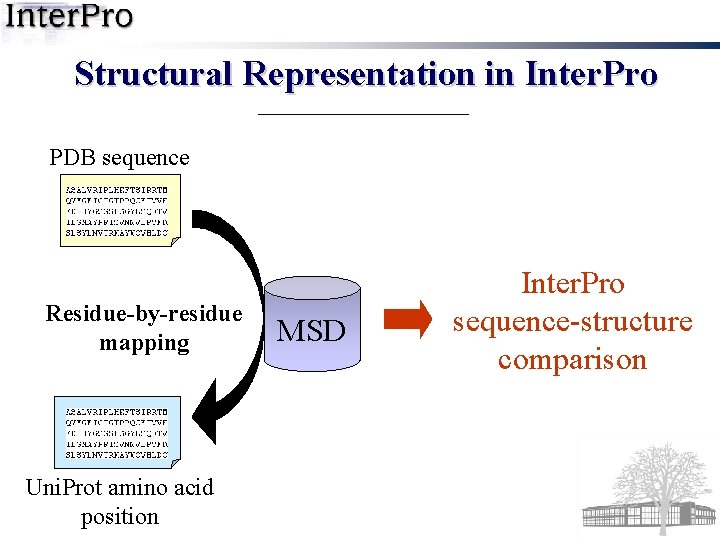 Structural Representation in Inter. Pro PDB sequence Residue-by-residue mapping Uni. Prot amino acid position