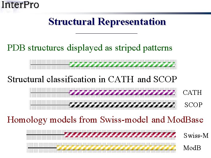 Structural Representation PDB structures displayed as striped patterns Structural classification in CATH and SCOP