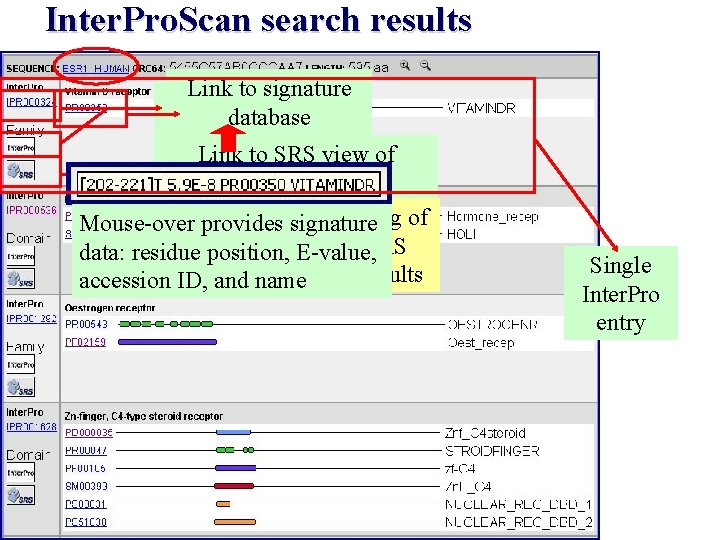 Inter. Pro. Scan search results Linktotosignature database Inter. Pro entry Link to SRS view