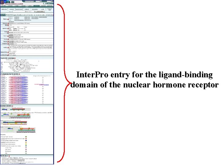 Inter. Pro entry for the ligand-binding domain of the nuclear hormone receptor 