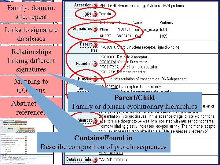 Family, domain, site, repeat Links to signature databases Detailed information Relationships linking different signatures