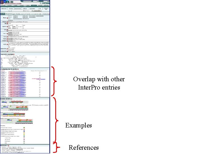 Overlap with other Inter. Pro entries Examples References 