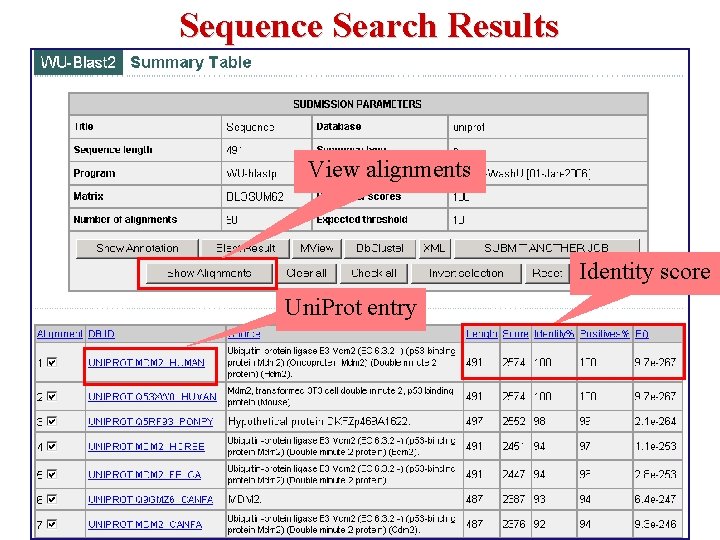 Sequence Search Results View alignments Identity score Uni. Prot entry 