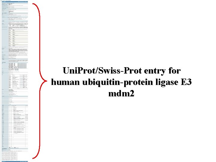 Uni. Prot/Swiss-Prot entry for human ubiquitin-protein ligase E 3 mdm 2 