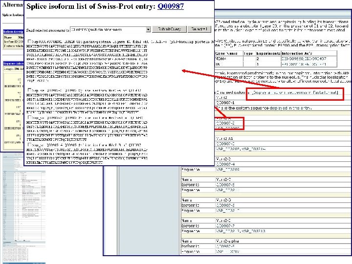 Int. Act Database 