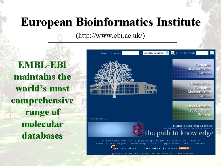 European Bioinformatics Institute (http: //www. ebi. ac. uk/) EMBL-EBI maintains the world’s most comprehensive