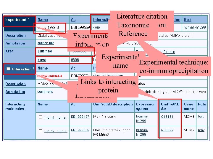 Literature citation used for curation Taxonomic Experimental Reference information Experimental technique: name co-immunoprecipitation Links