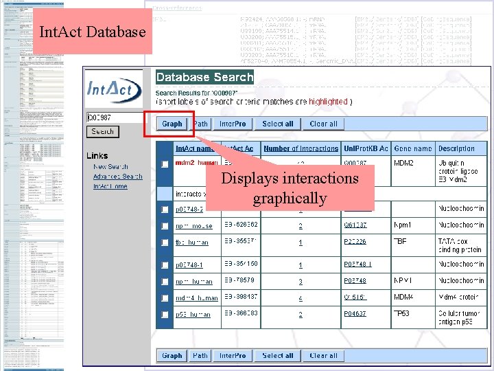 Int. Act Database Displays interactions graphically 