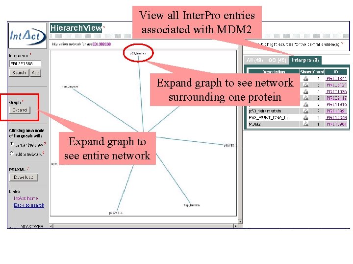 View all Inter. Pro entries associated with MDM 2 Expand graph to see network