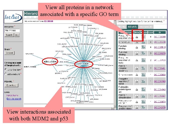 View all proteins in a network associated with a specific GO term View interactions