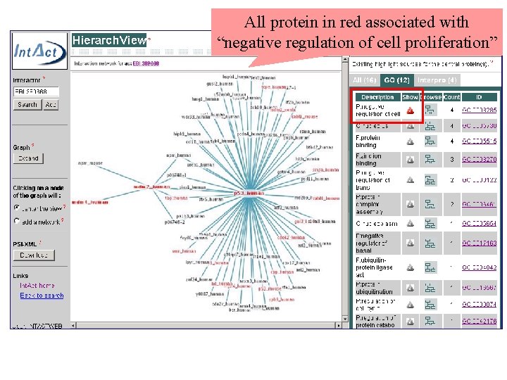 All protein in red associated with “negative regulation of cell proliferation” 