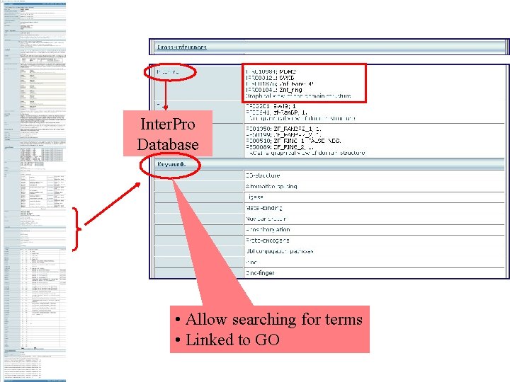 Inter. Pro Database • Allow searching for terms • Linked to GO 