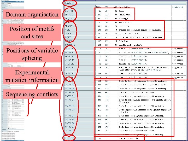 Domain organisation Position of motifs and sites Positions of variable splicing Experimental mutation information