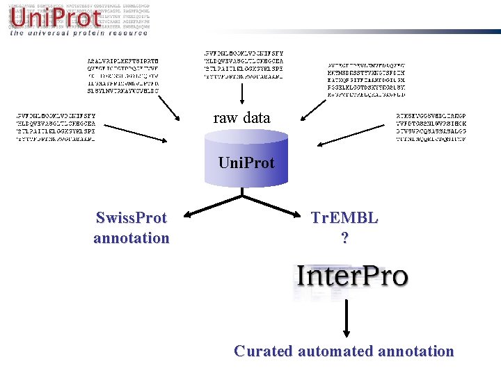 raw data Uni. Prot Swiss. Prot annotation Tr. EMBL ? Curated automated annotation 
