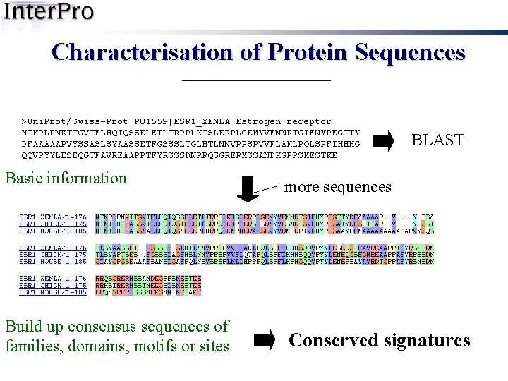 Characterisation of Protein Sequences BLAST Basic information more sequences Build up consensus sequences of