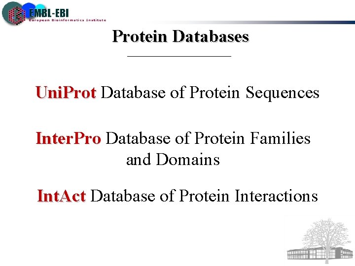 Protein Databases Uni. Prot Database of Protein Sequences Inter. Pro Database of Protein Families