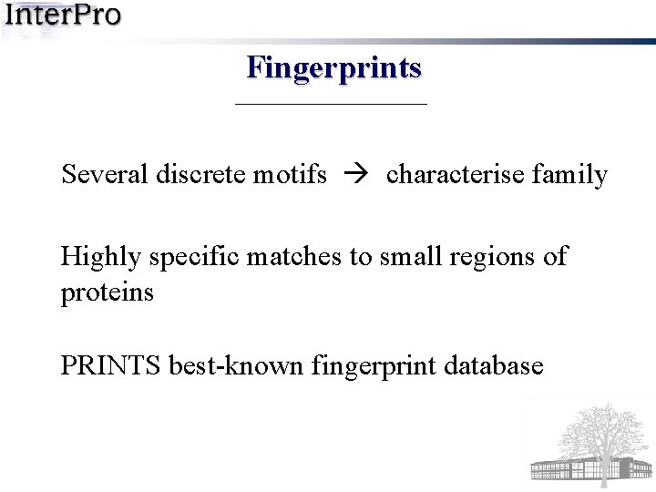 Fingerprints Several discrete motifs characterise family Highly specific matches to small regions of proteins
