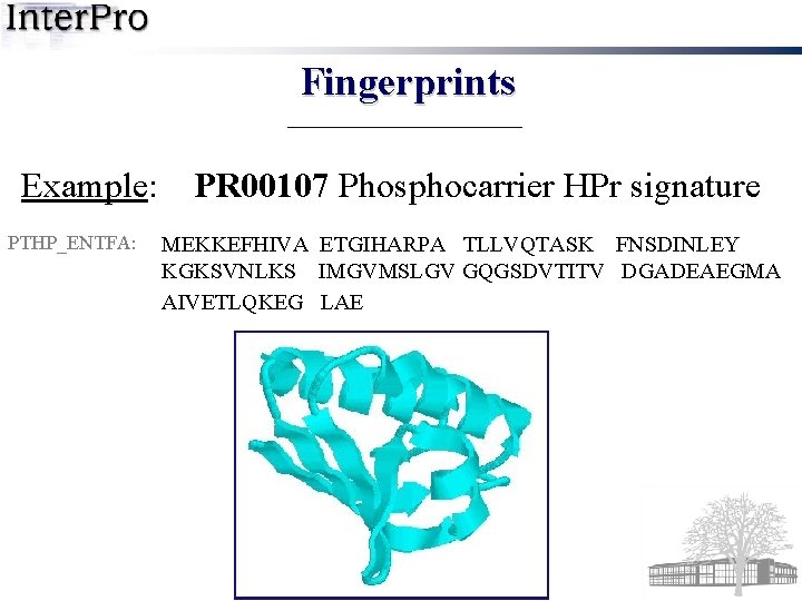 Fingerprints Example: PTHP_ENTFA: PR 00107 Phosphocarrier HPr signature MEKKEFHIVA ETGIHARPA TLLVQTASK FNSDINLEY KGKSVNLKS IMGVMSLGV