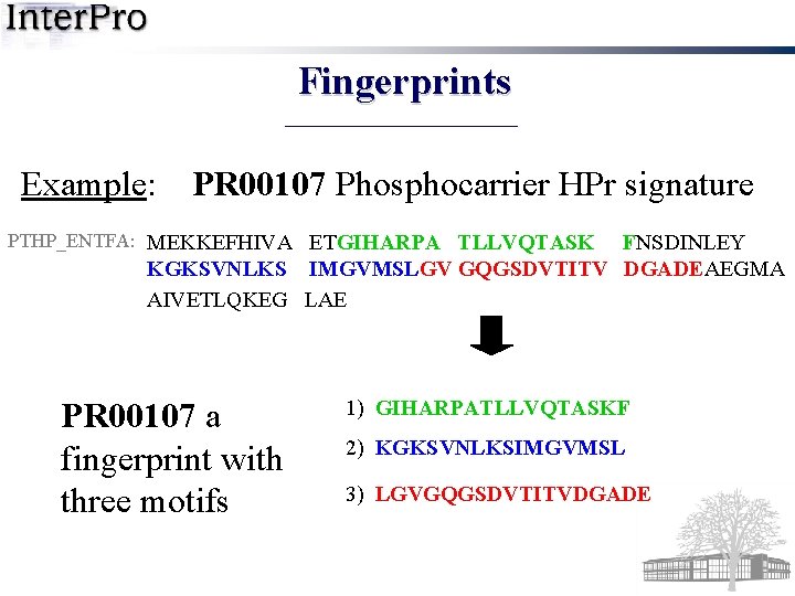 Fingerprints Example: PR 00107 Phosphocarrier HPr signature PTHP_ENTFA: MEKKEFHIVA ETGIHARPA TLLVQTASK FNSDINLEY KGKSVNLKS IMGVMSLGV