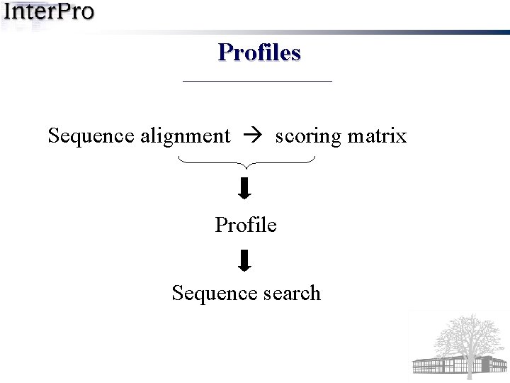 Profiles Sequence alignment scoring matrix Profile Sequence search 