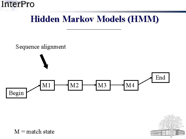 Hidden Markov Models (HMM) Sequence alignment End M 1 Begin M = match state