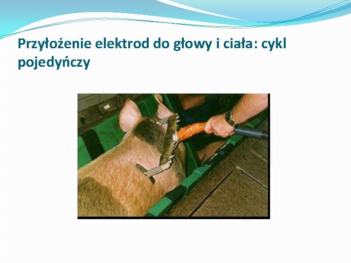 Przyłożenie elektrod do głowy i ciała: cykl pojedyńczy 