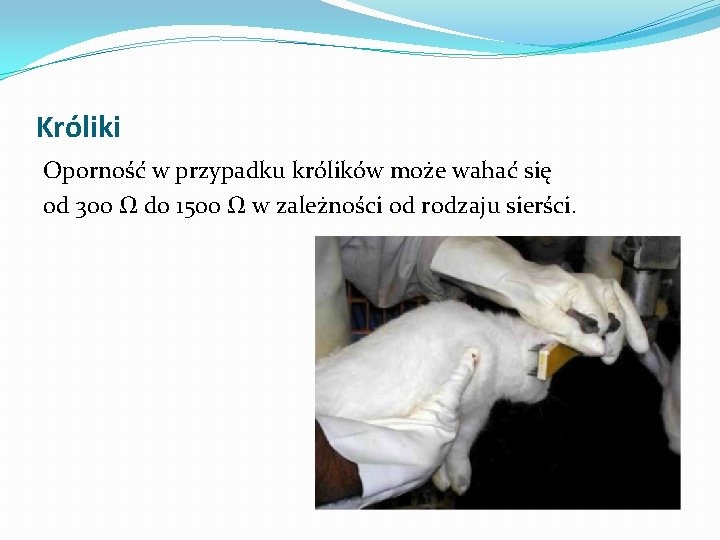 Króliki Oporność w przypadku królików może wahać się od 300 Ω do 1500 Ω Króliki Oporność w przypadku królików może wahać się od 300 Ω do 1500 Ω