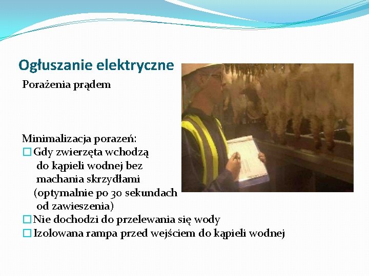 Ogłuszanie elektryczne Porażenia prądem Minimalizacja porazeń: �Gdy zwierzęta wchodzą do kąpieli wodnej bez machania Ogłuszanie elektryczne Porażenia prądem Minimalizacja porazeń: �Gdy zwierzęta wchodzą do kąpieli wodnej bez machania