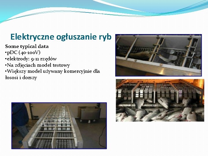 Elektryczne ogłuszanie ryb Some typical data • p. DC (40 -100 V) • elektrody: Elektryczne ogłuszanie ryb Some typical data • p. DC (40 -100 V) • elektrody: