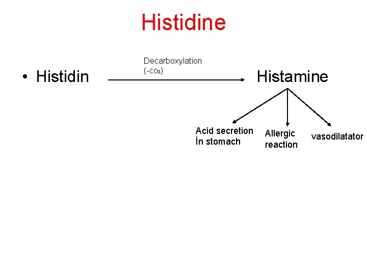 Histidine • Histidin Decarboxylation (-co 2) Acid secretion İn stomach Histamine Allergic reaction vasodilatator