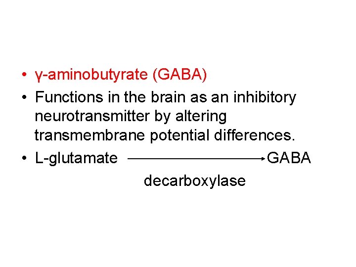  • γ-aminobutyrate (GABA) • Functions in the brain as an inhibitory neurotransmitter by
