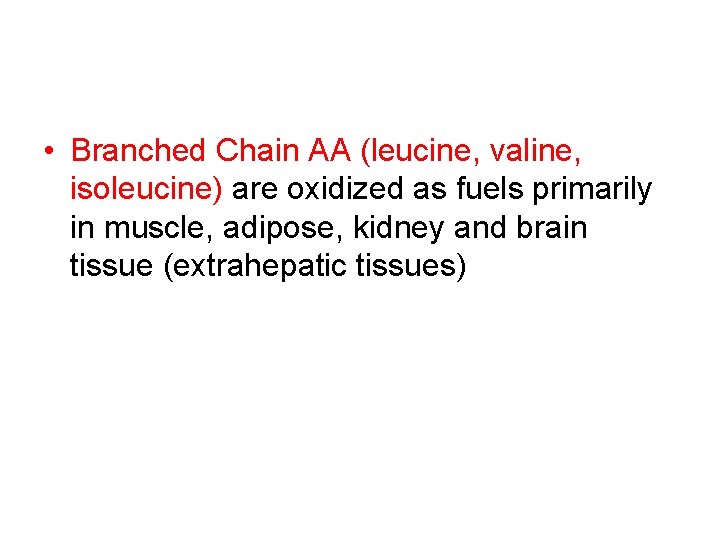  • Branched Chain AA (leucine, valine, isoleucine) are oxidized as fuels primarily in