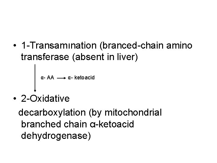  • 1 -Transamınation (branced-chain amino transferase (absent in liver) α- AA α- ketoacid