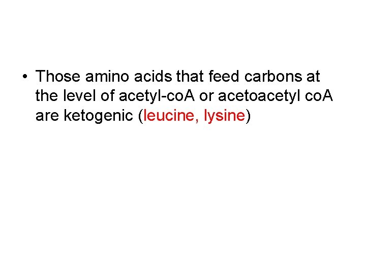  • Those amino acids that feed carbons at the level of acetyl-co. A