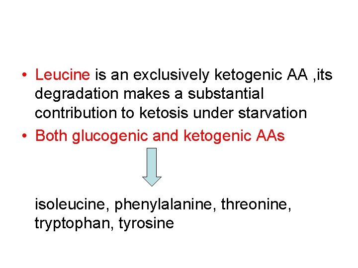  • Leucine is an exclusively ketogenic AA , its degradation makes a substantial