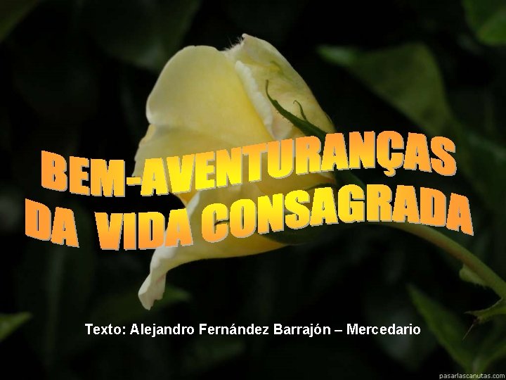 Texto: Alejandro Fernández Barrajón – Mercedario 