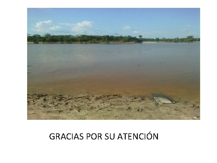 GRACIAS POR SU ATENCIÓN 