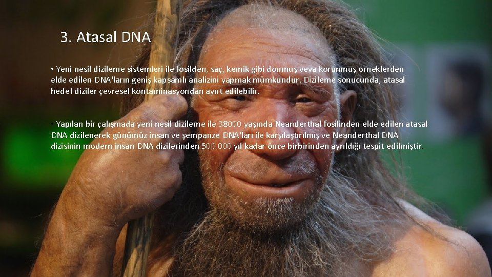 3. Atasal DNA • Yeni nesil dizileme sistemleri ile fosilden, saç, kemik gibi donmuş