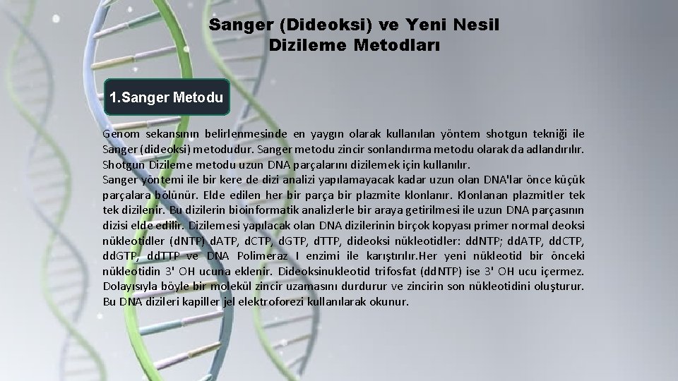 Sanger (Dideoksi) ve Yeni Nesil Dizileme Metodları 1. Sanger Metodu Genom sekansının belirlenmesinde en
