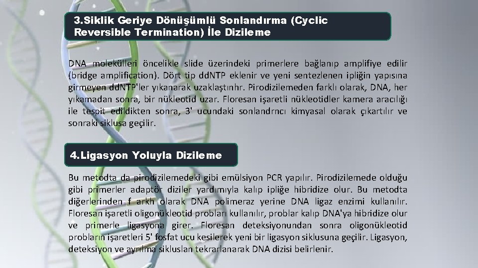 3. Siklik Geriye Dönüşümlü Sonlandırma (Cyclic Reversible Termination) İle Dizileme DNA molekülleri öncelikle slide