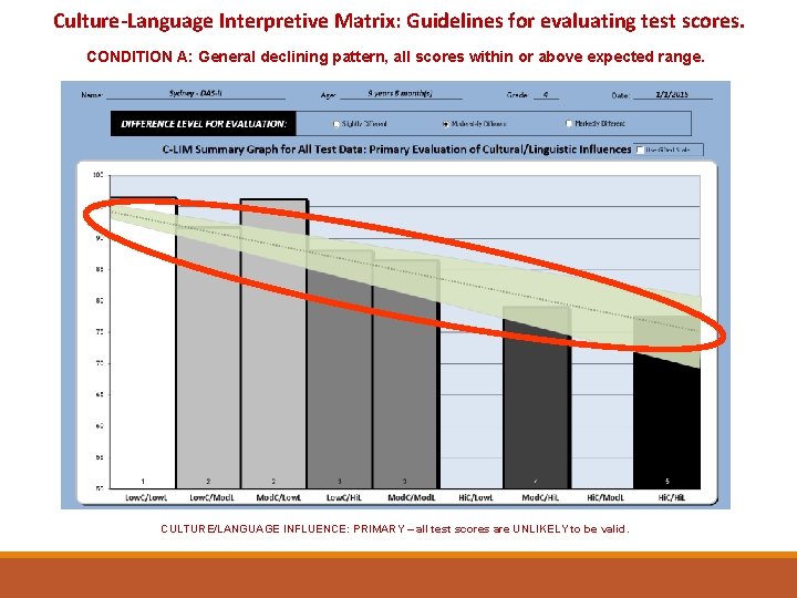 Culture-Language Interpretive Matrix: Guidelines for evaluating test scores. CONDITION A: General declining pattern, all