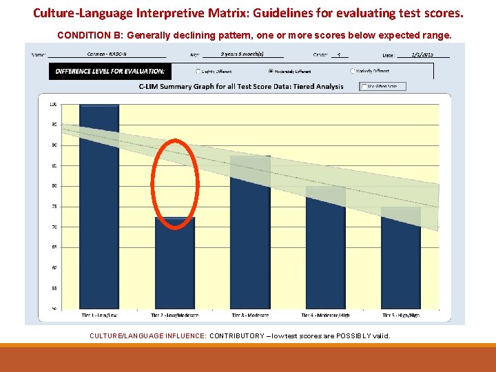 Culture-Language Interpretive Matrix: Guidelines for evaluating test scores. CONDITION B: Generally declining pattern, one