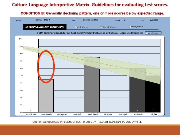 Culture-Language Interpretive Matrix: Guidelines for evaluating test scores. CONDITION B: Generally declining pattern, one